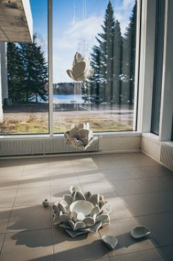Lotuksen tarina 1
